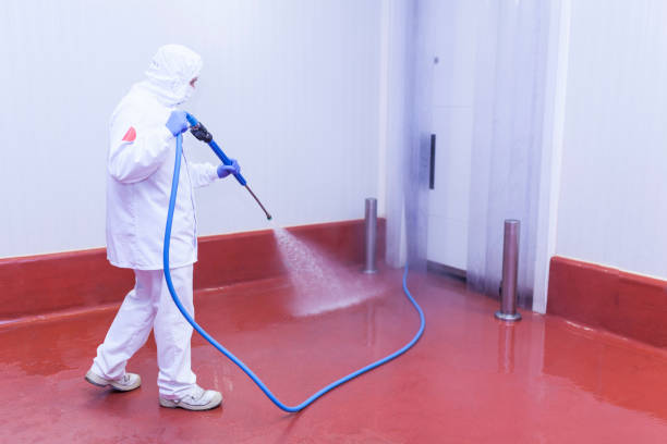 Best Gas Station Cleaning  in Lyons, GA